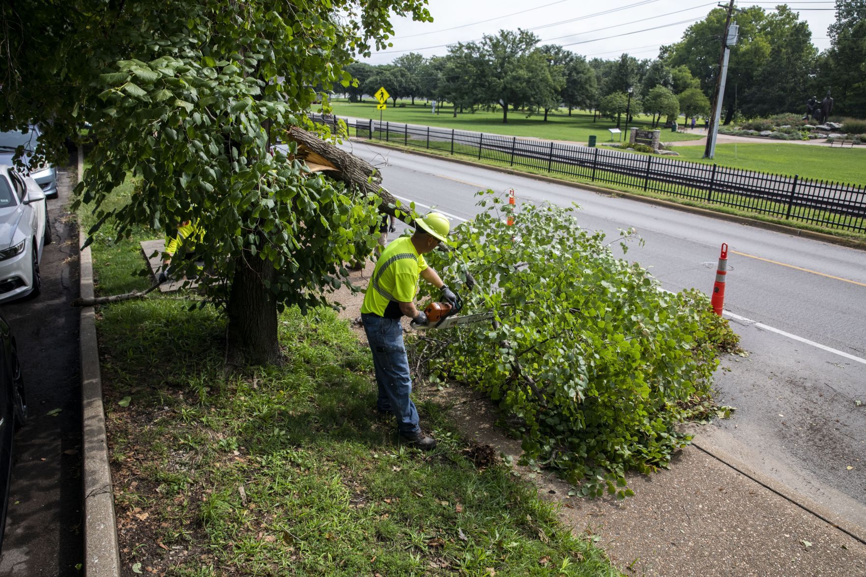 Trees damaged and toppled in St. Charles